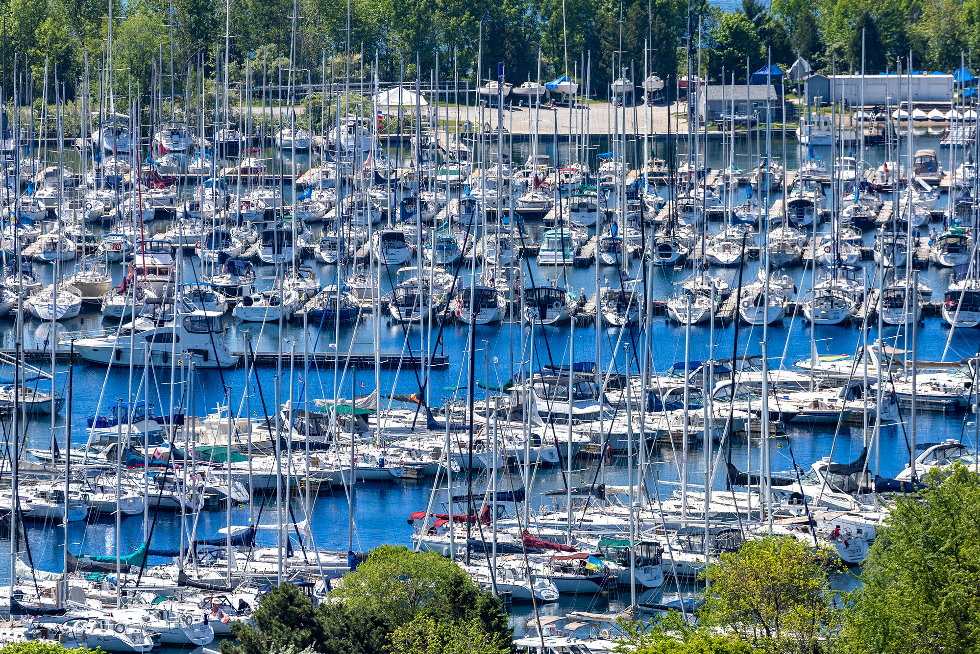 30 Shore Breeze Drive Suite 2019